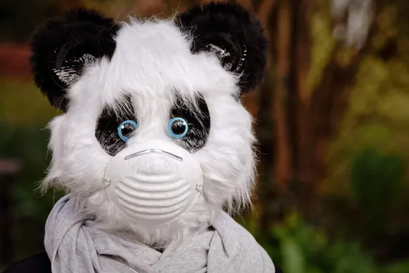 BitReels Kazino Atbalsts